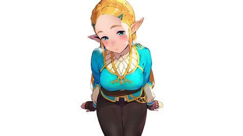 zelda big boobs|r/Zeldass